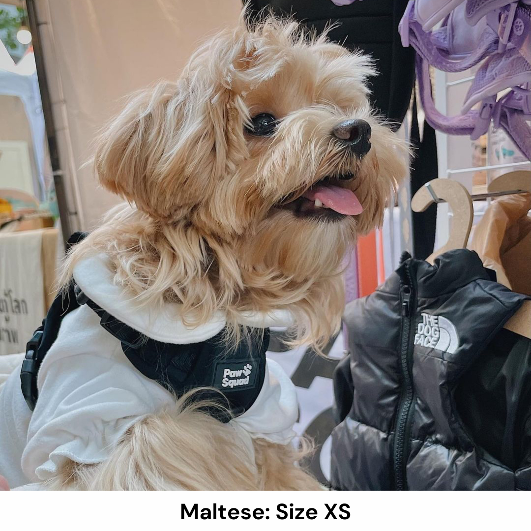 Dog Harness for Maltese