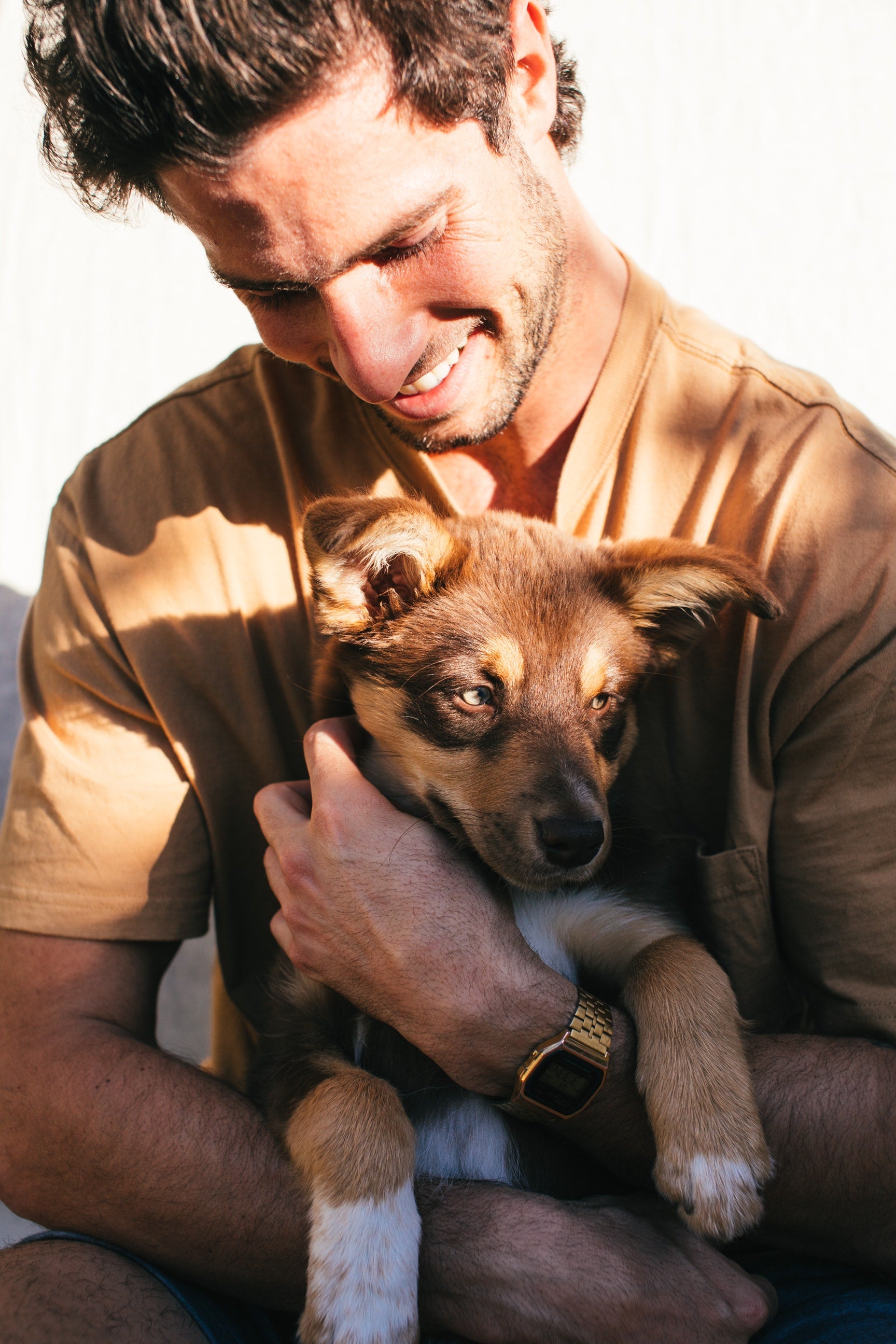 Crop man with puppy in hands