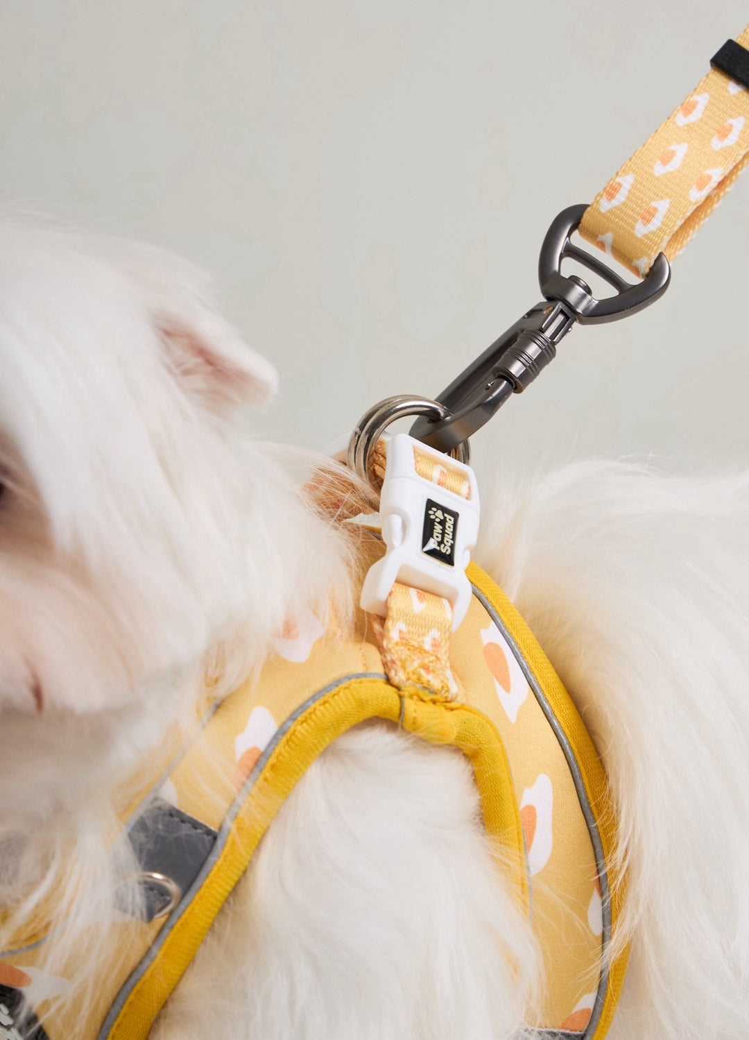 Eggy Dog Leash