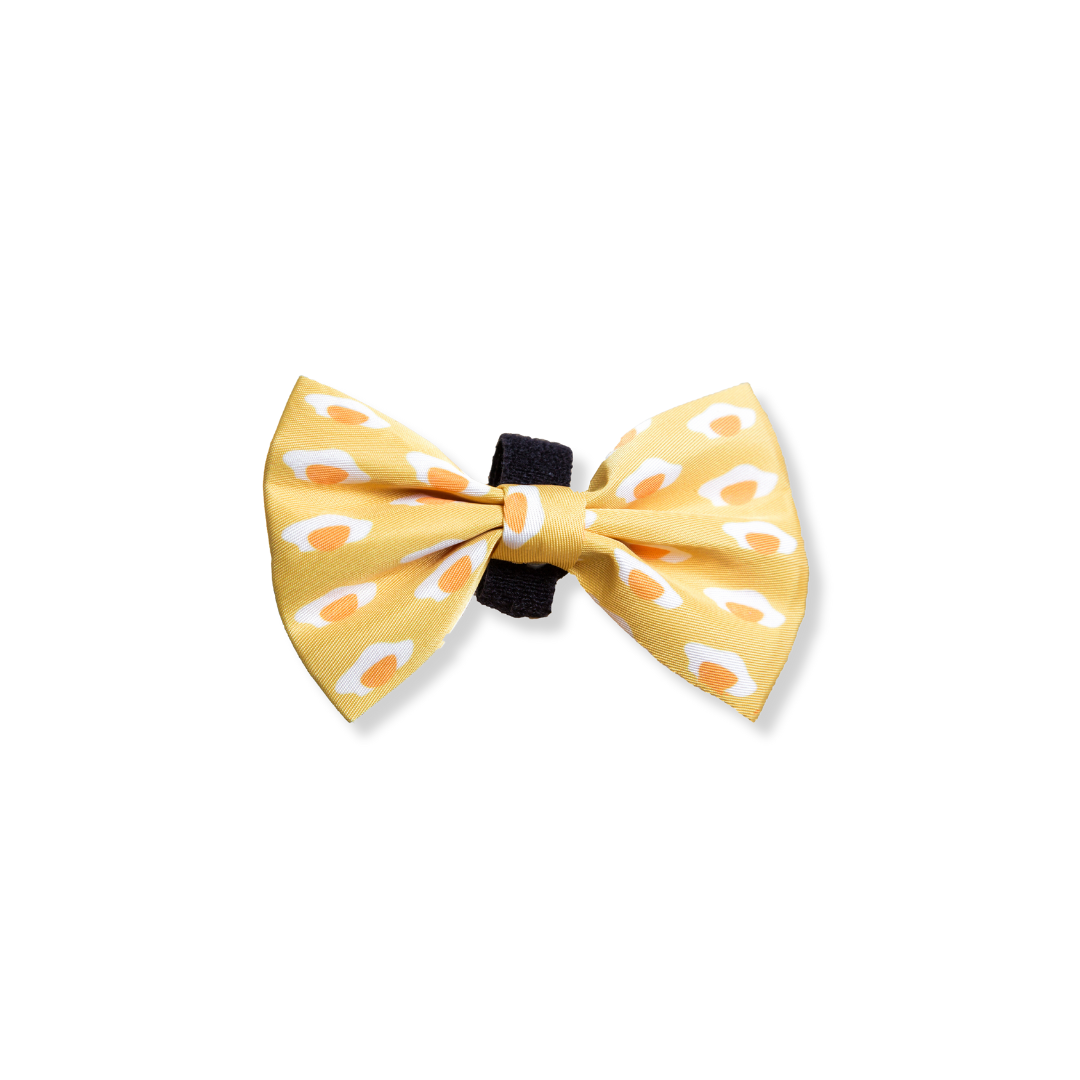 Egg Bow Tie