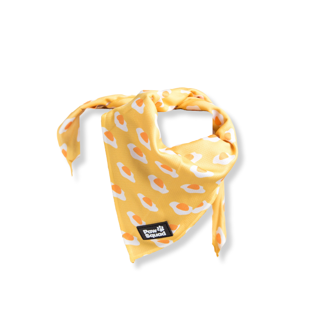 Egg Dog Bandana