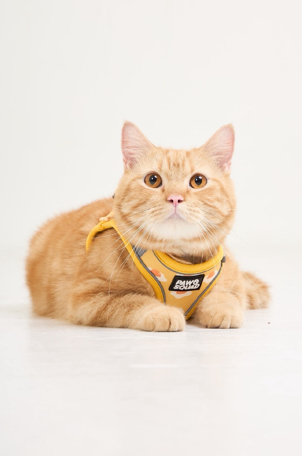Step-On Dog Harness - Eggy