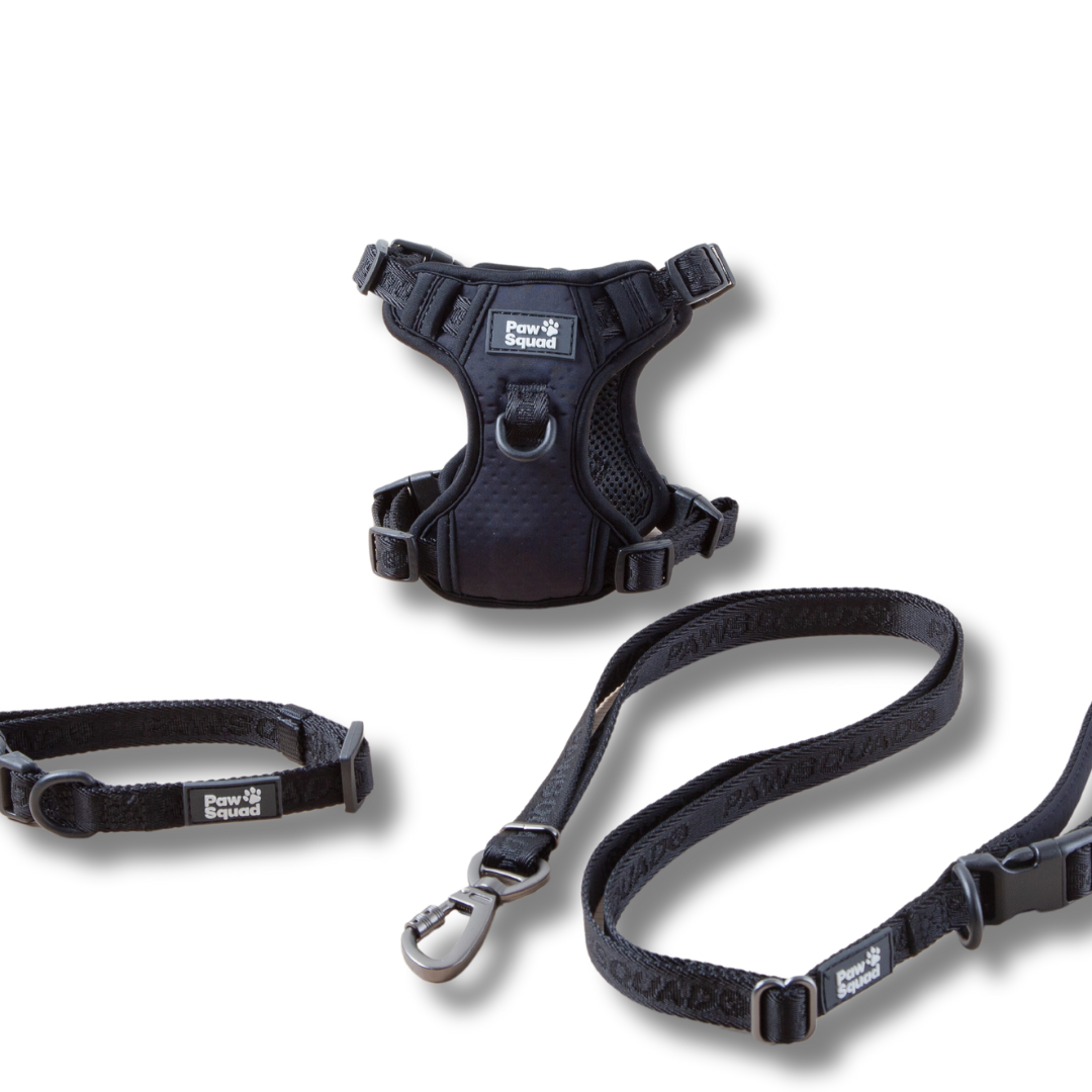 Dog Harness Black