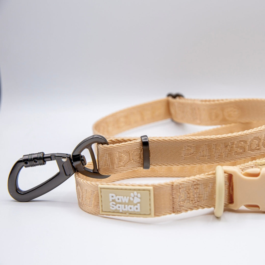 Basics Leash (Butter)