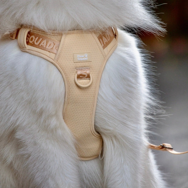 Nylon Dog Harness 