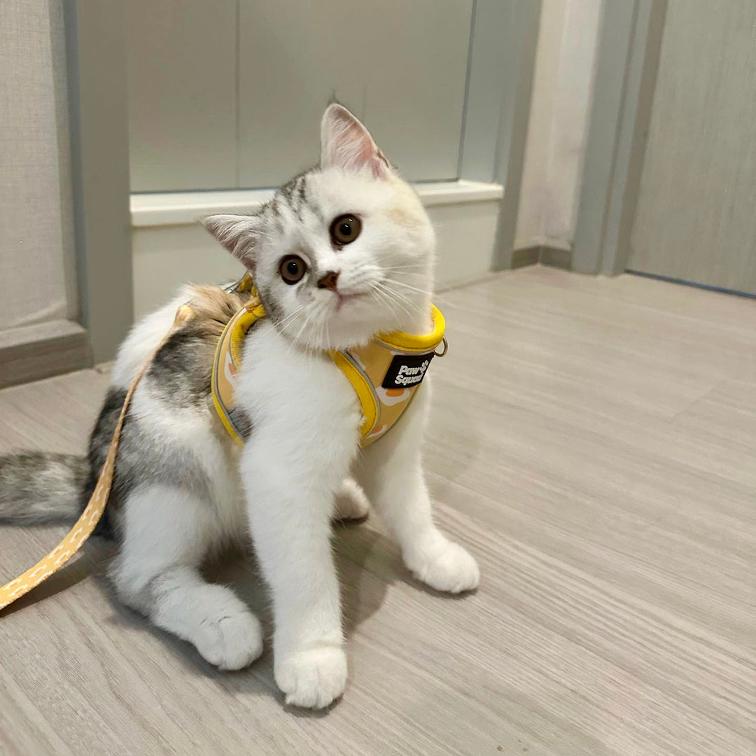 Step-On Dog Harness - Eggy