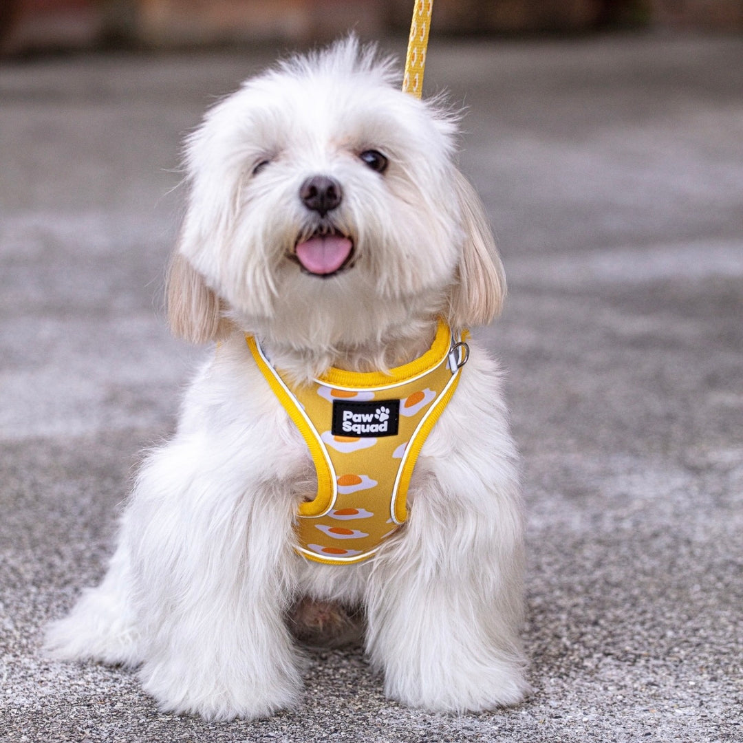 Step-On Dog Harness - Eggy