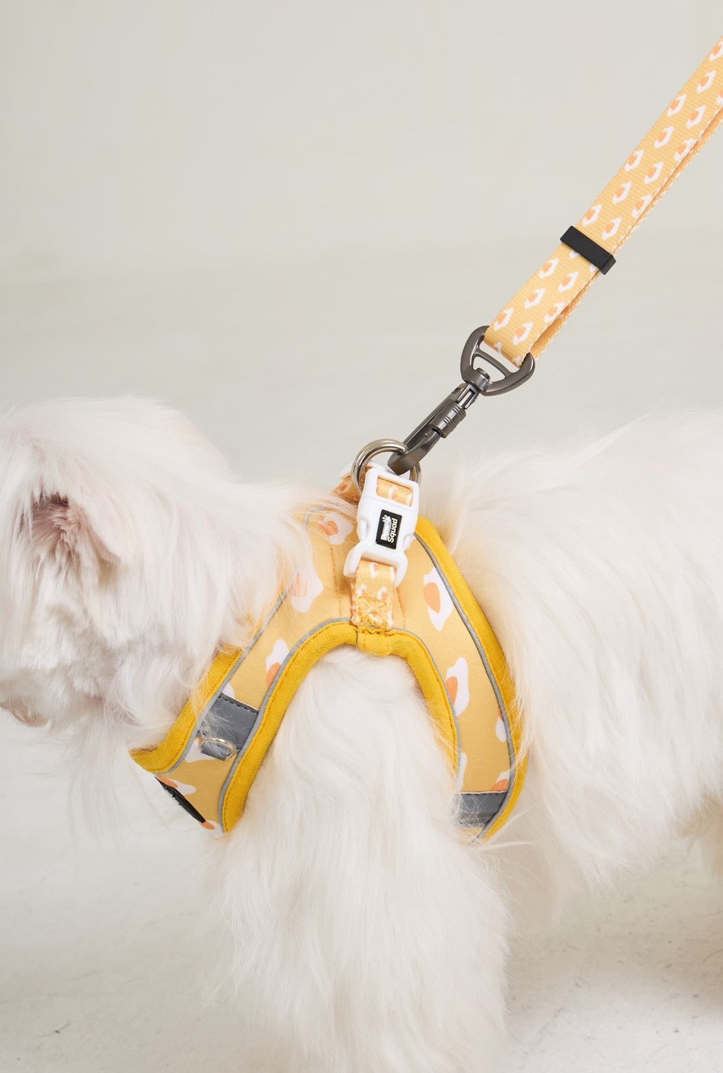 Eggy Dog Leash