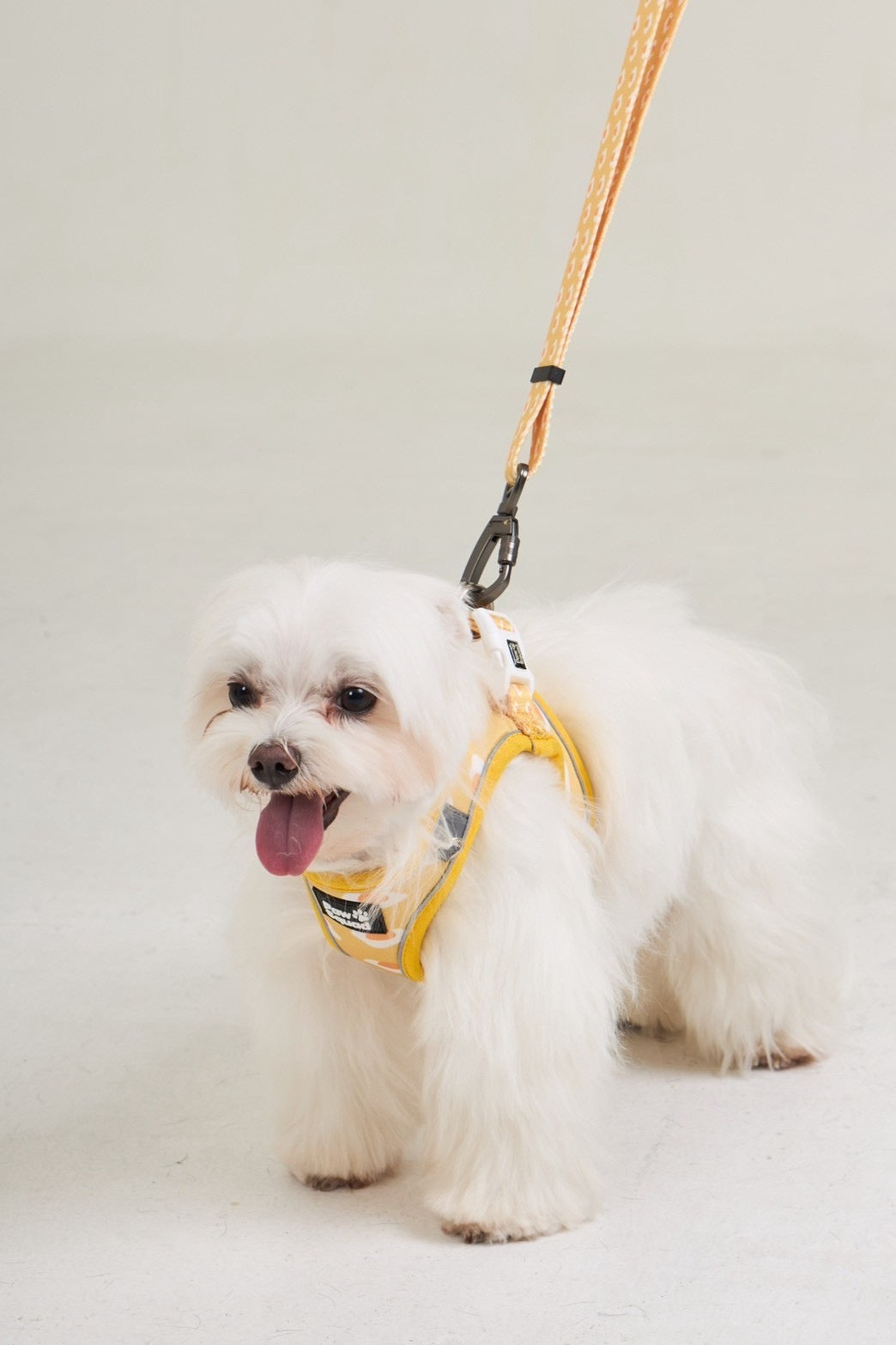 Eggy Dog Leash