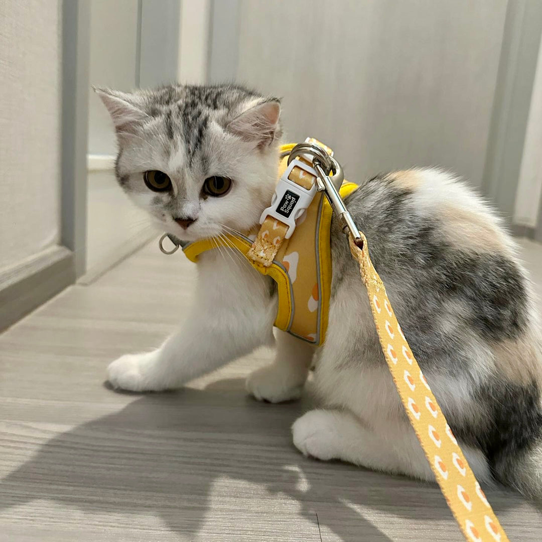 Step-On Dog Harness - Eggy