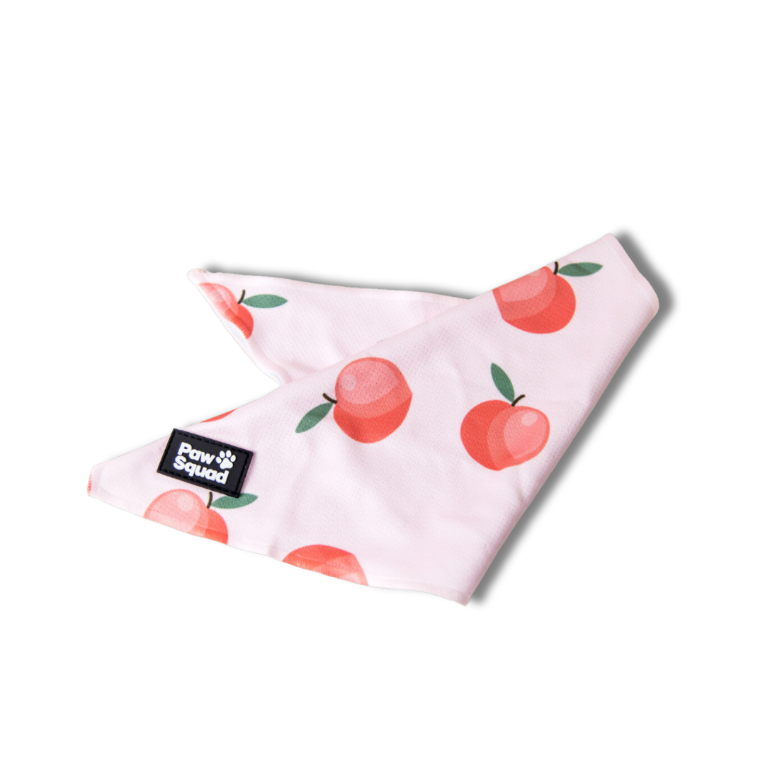 Peachy Dog Bandana