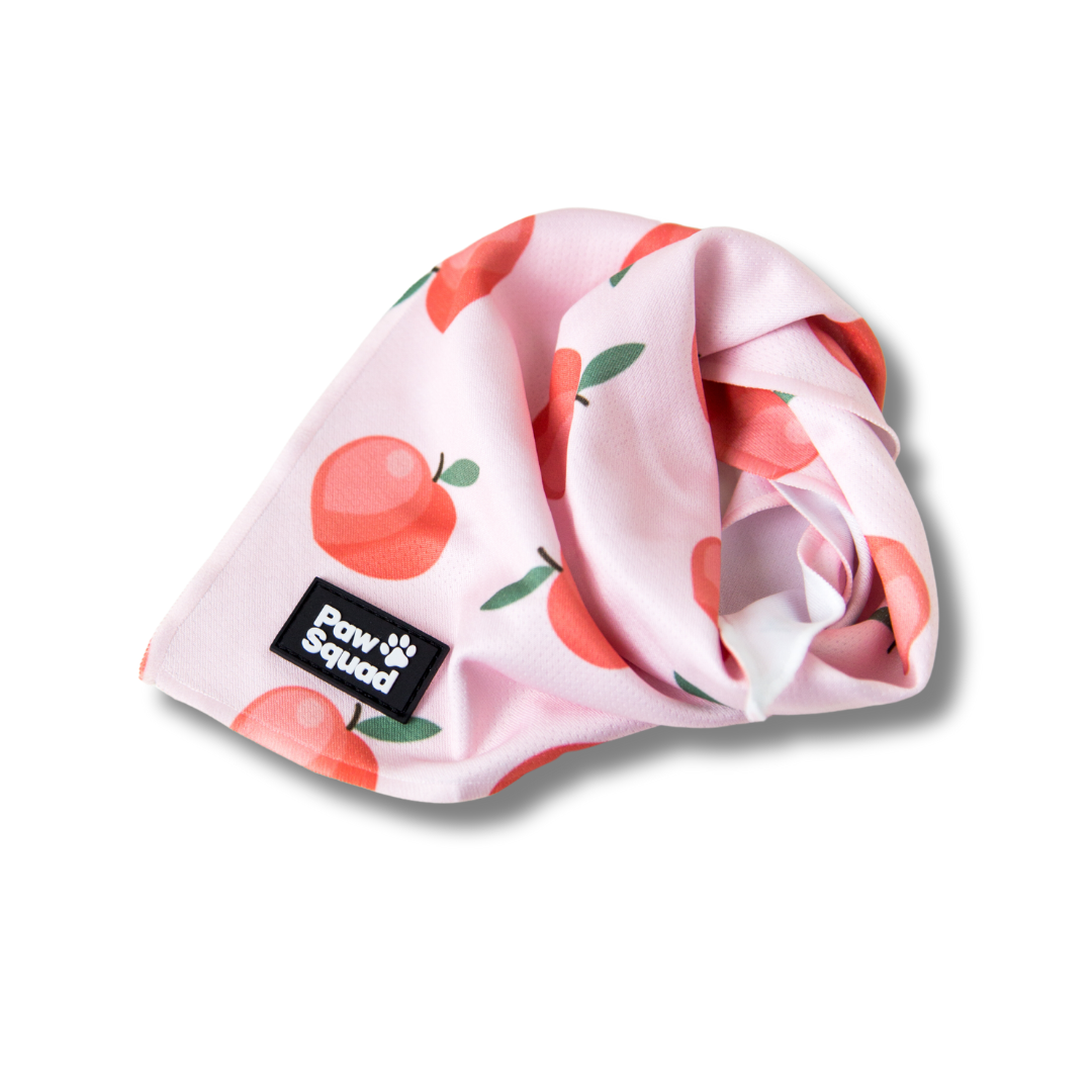 Peachy Dog Bandana