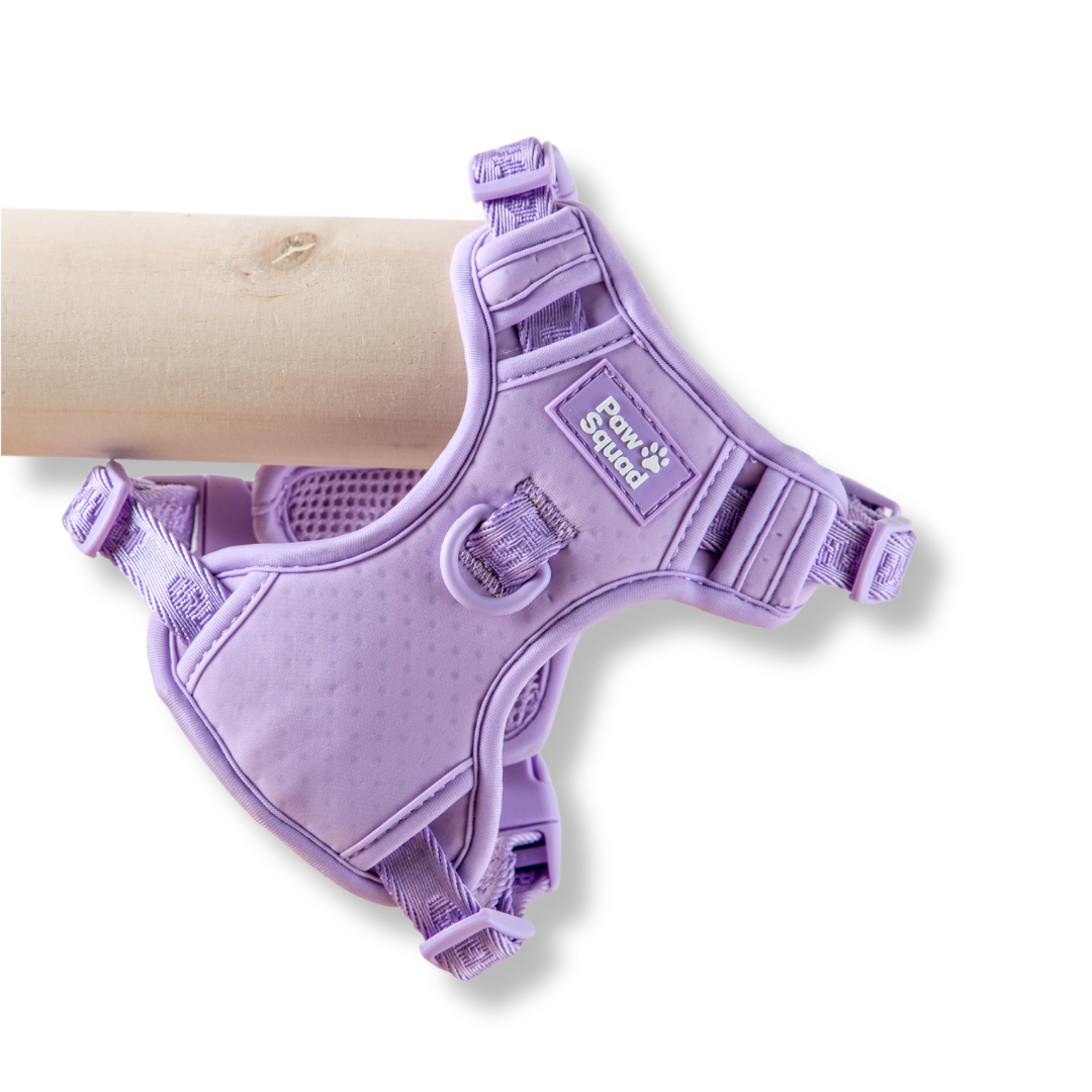 Lilac Dog Harness