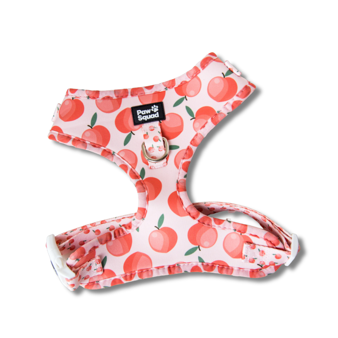 Peachy Dog Harness