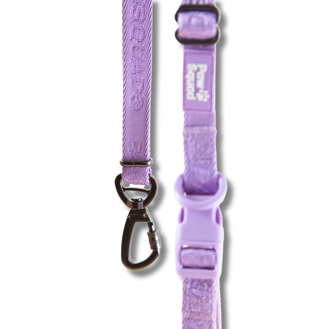 Basics Dog Leash (Lilac)