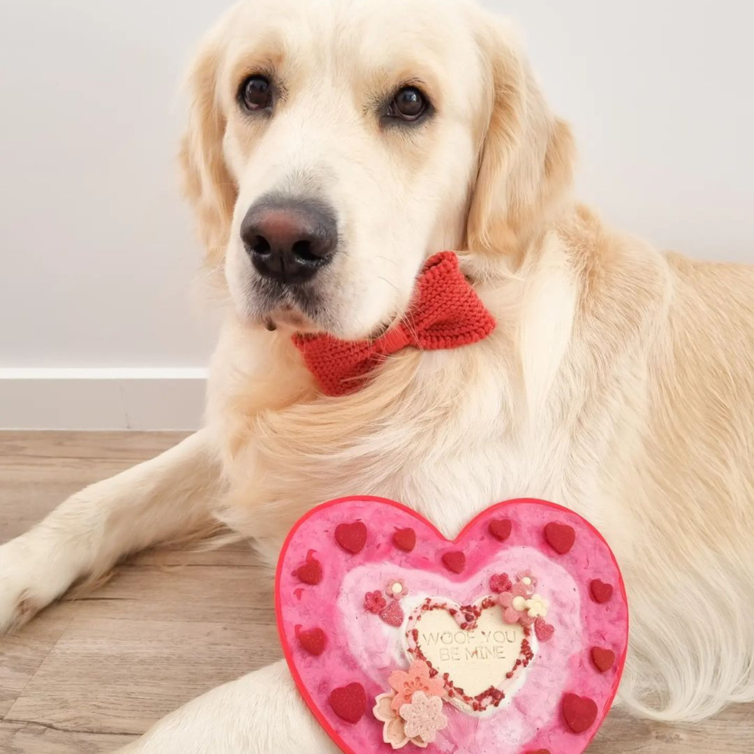 Heart Lick Mat - Enrichment & Slow Feeder