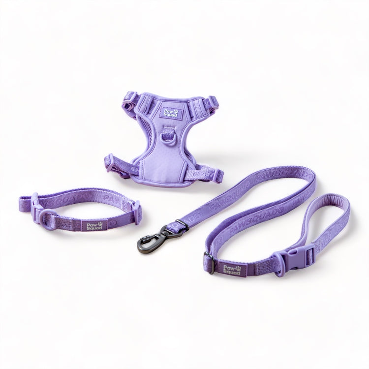 Dog Harness