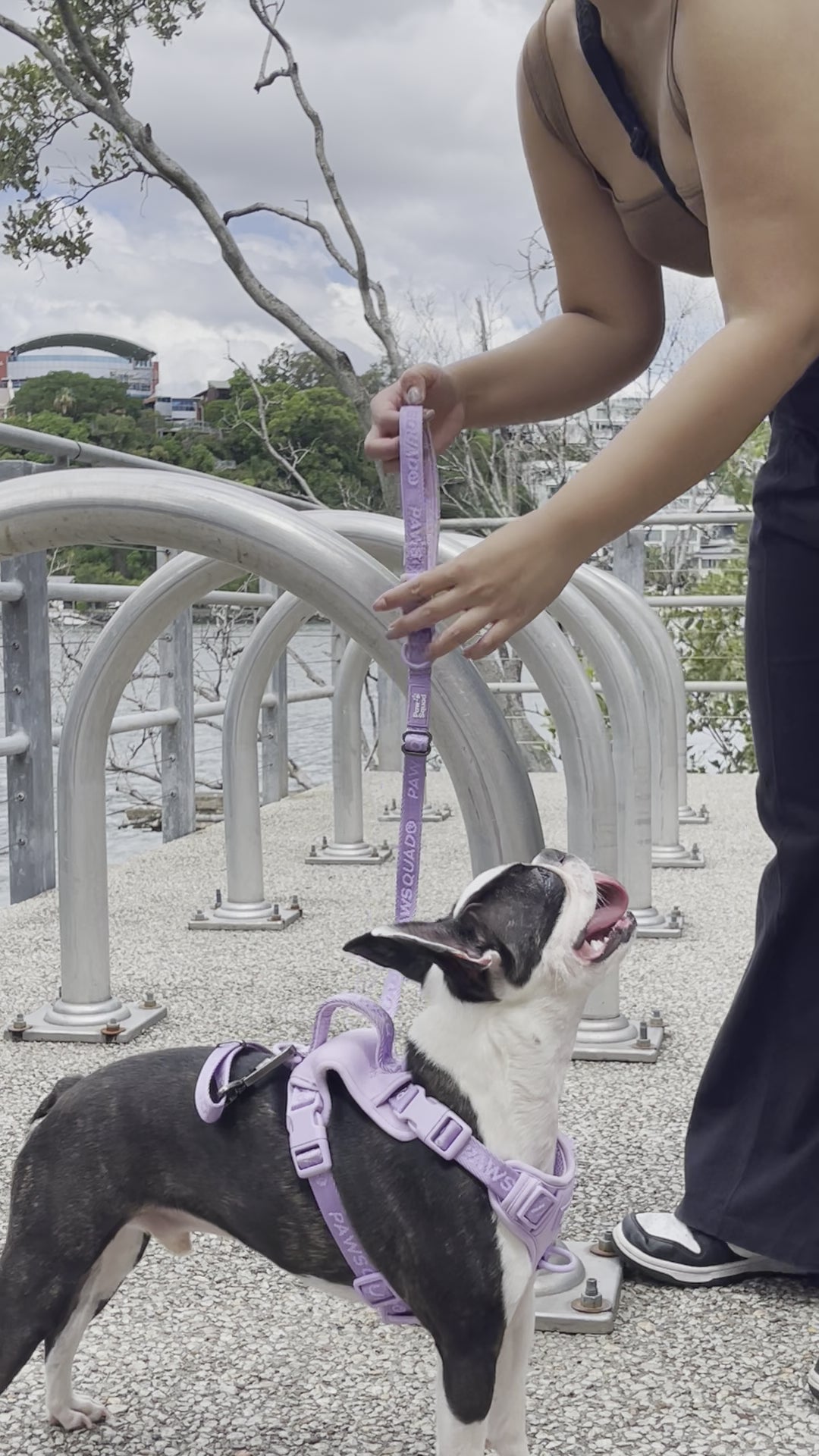 How to use PAWSQUAD Basic Adjustable Leash