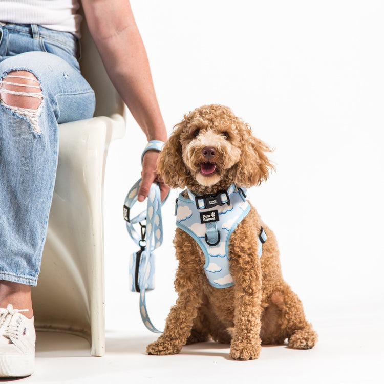 Above the Clouds Harness Pawsquad