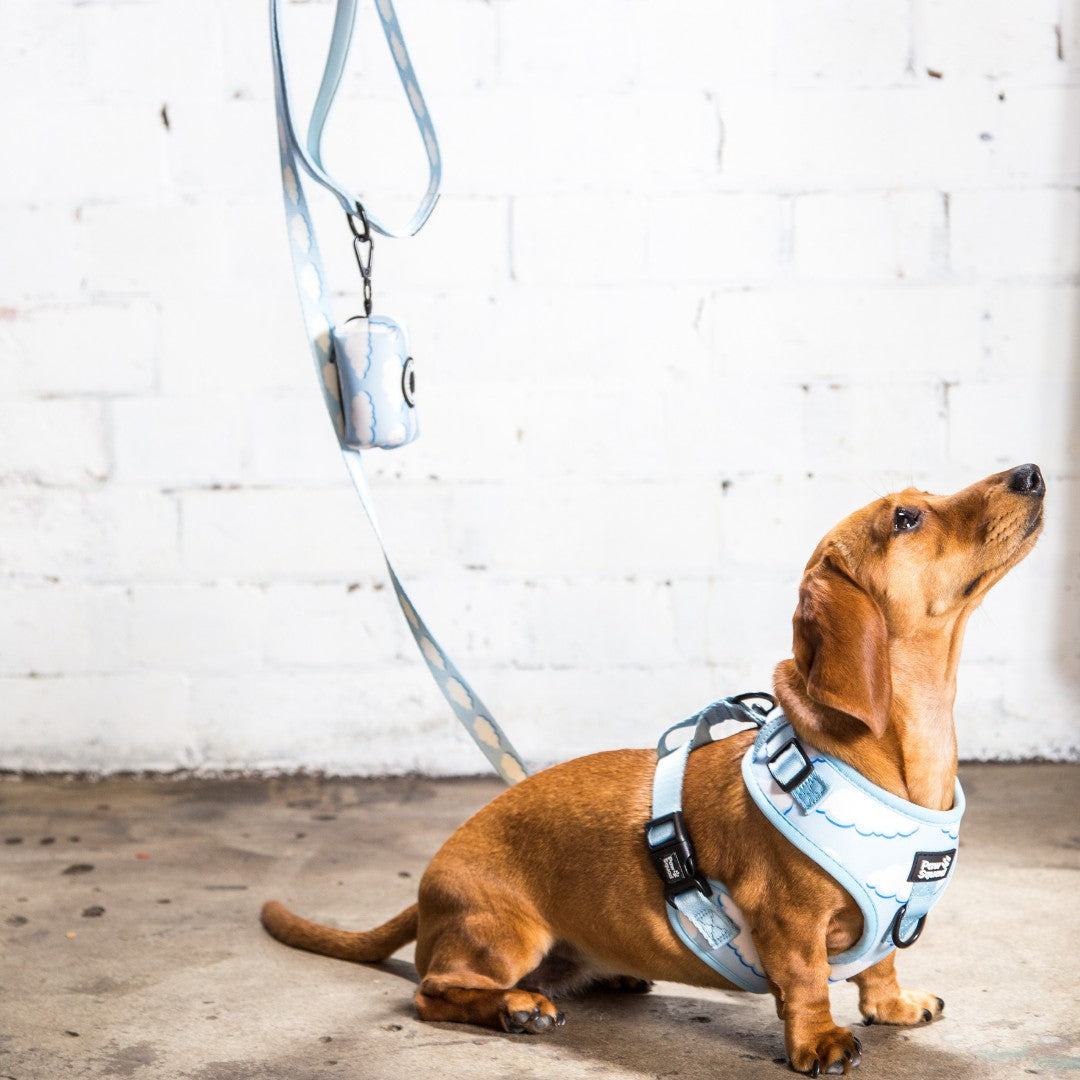 Above the Clouds Poop Bag Holder Pawsquad